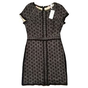 NWT Max and Cleo Black Lace Cap Sleeve Fitted Sheath Dress Size 8 MSRP $128